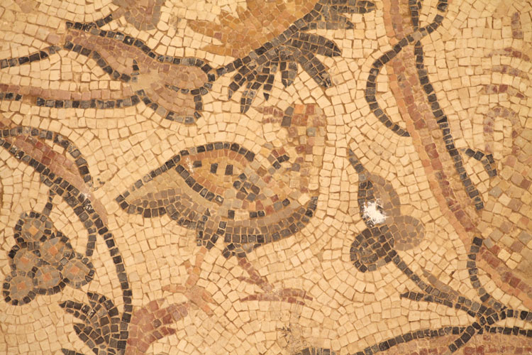 JBW mosaics of birds in Jordan