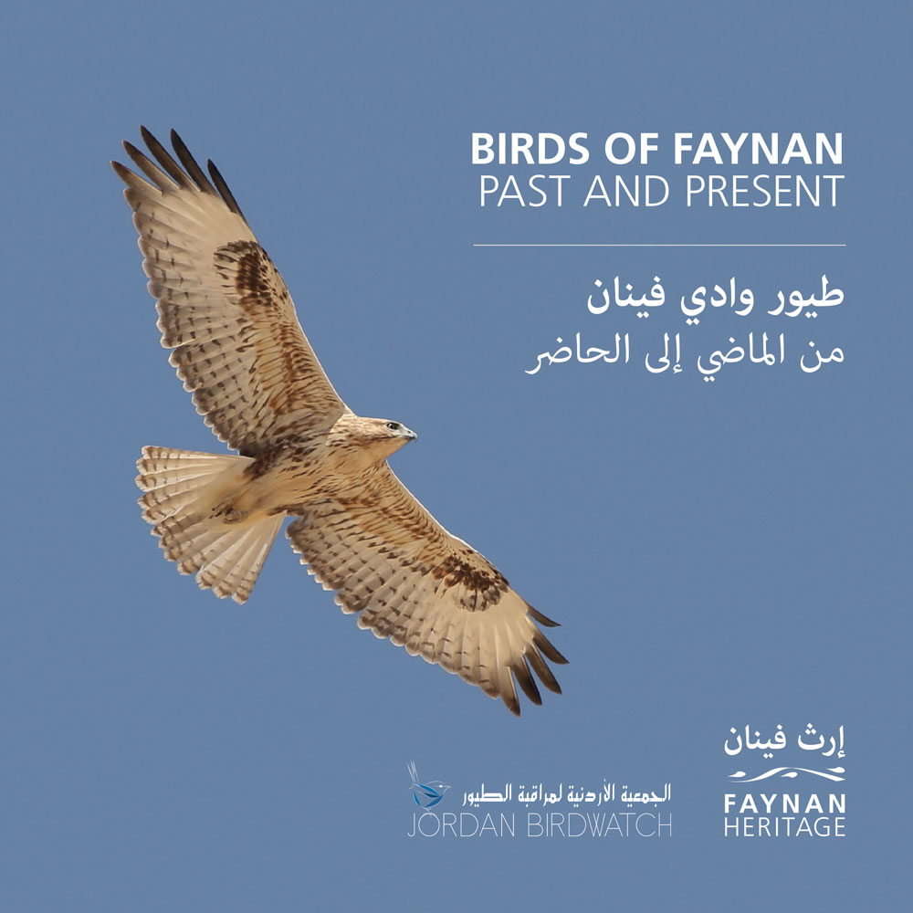 Birds of Faynan